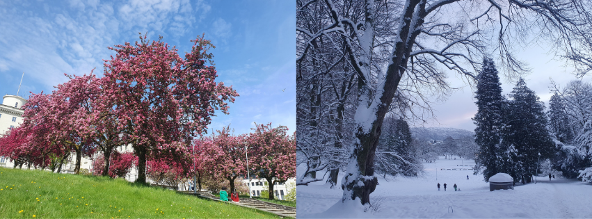 Bergen in spring and winter