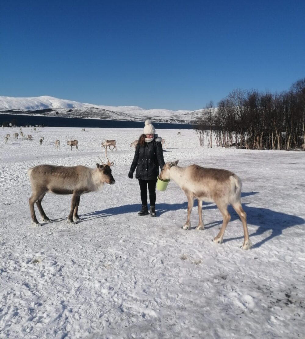 Alison in Norway feeding reindeer