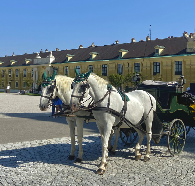 Schönbrunn Palace horse rides